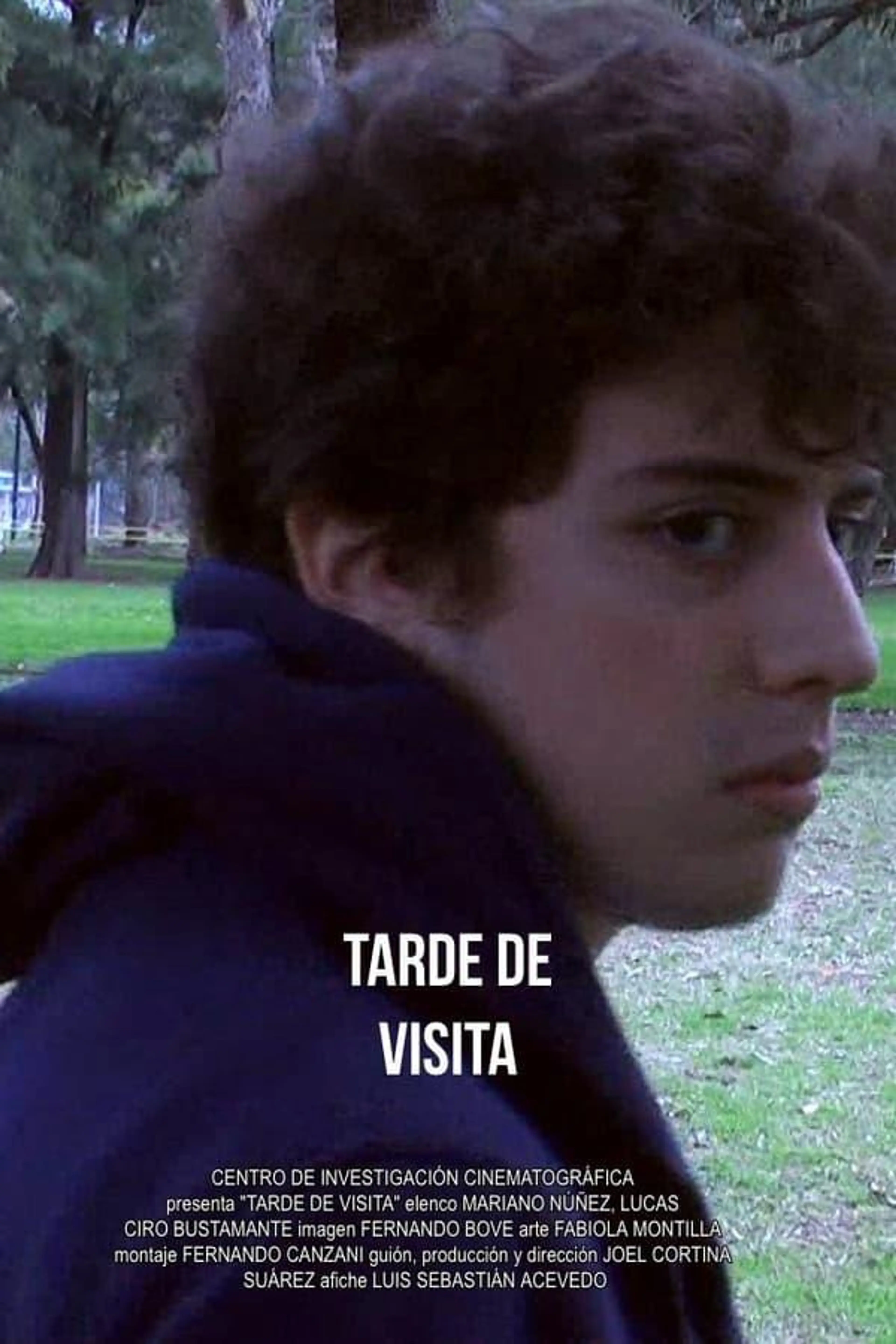 An Afternoon in the Park