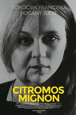 Citromos Mignon