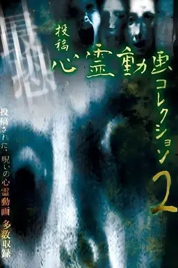 Submitted Paranormal Video Collection 2