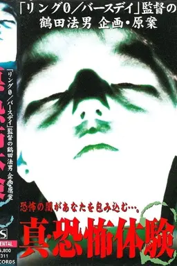 True Horror Experience 2