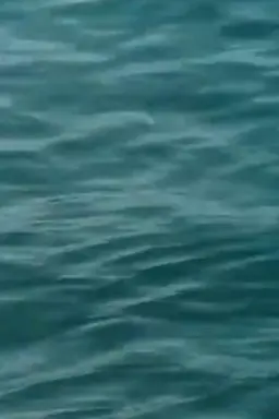 Waveforms
