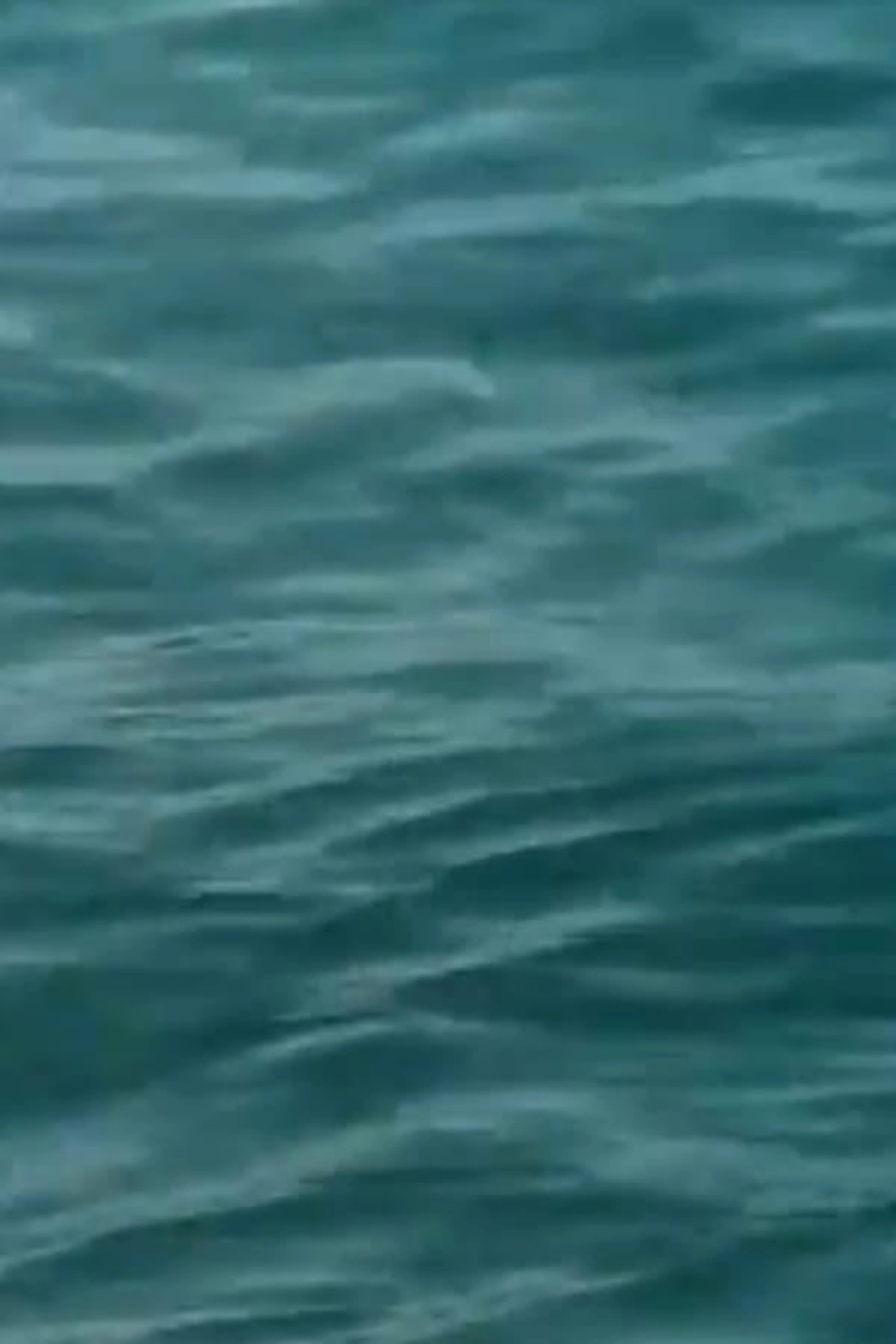 Waveforms
