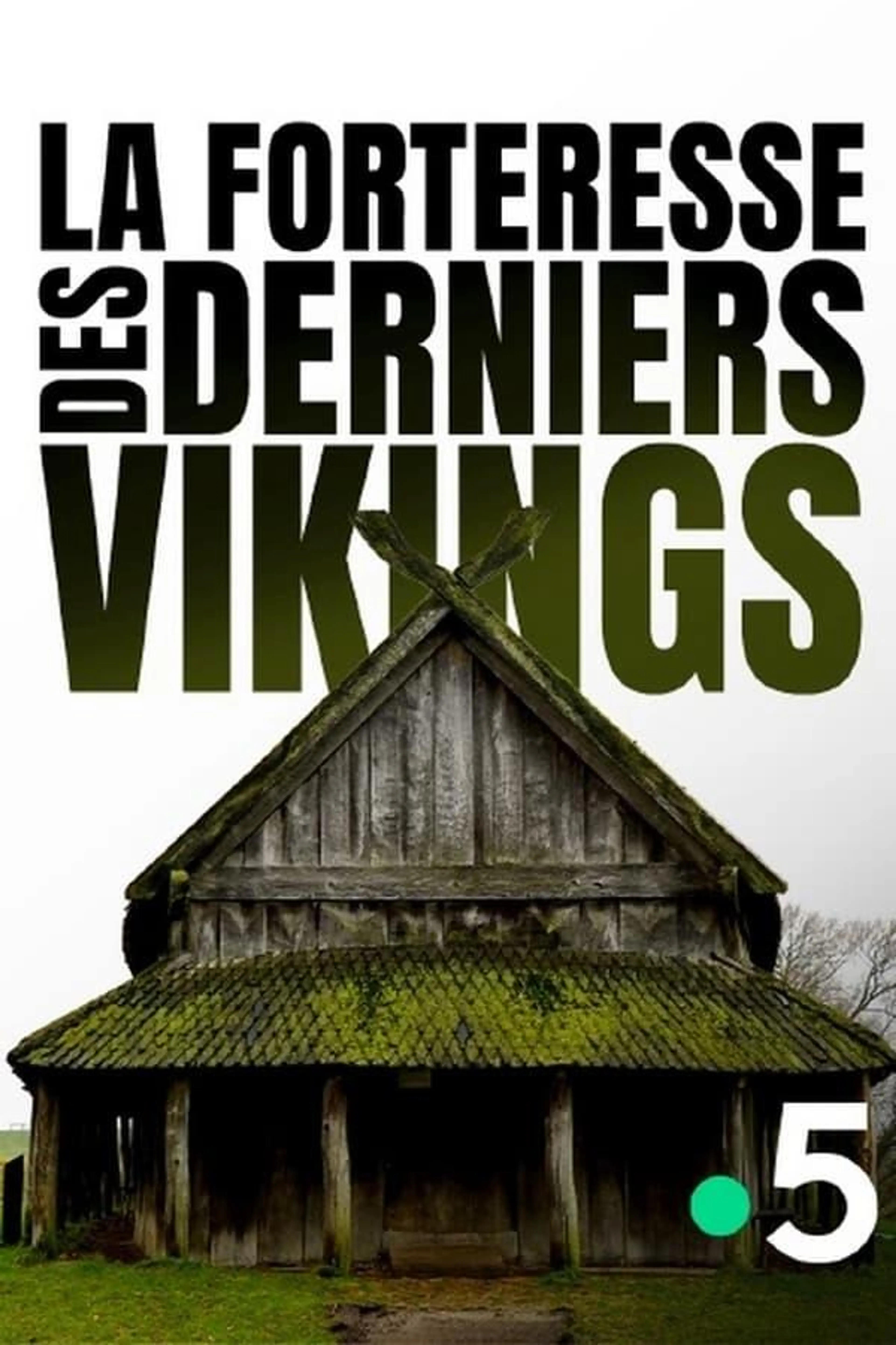 Viking City of the Dead