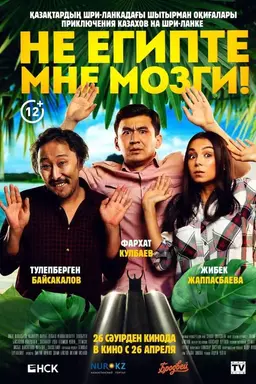 Don't Give Me a Brain!