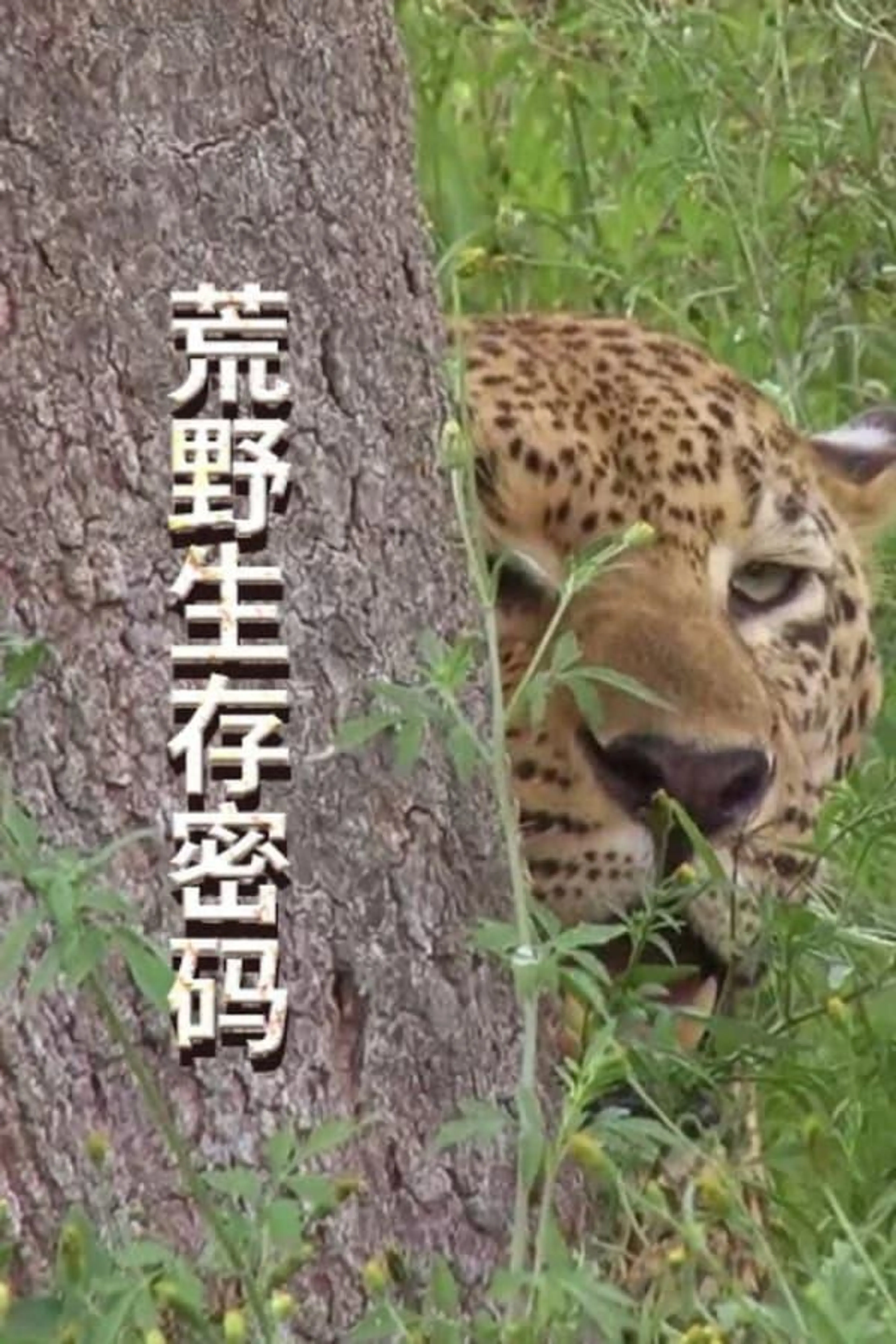 Survive the Wild Season 1