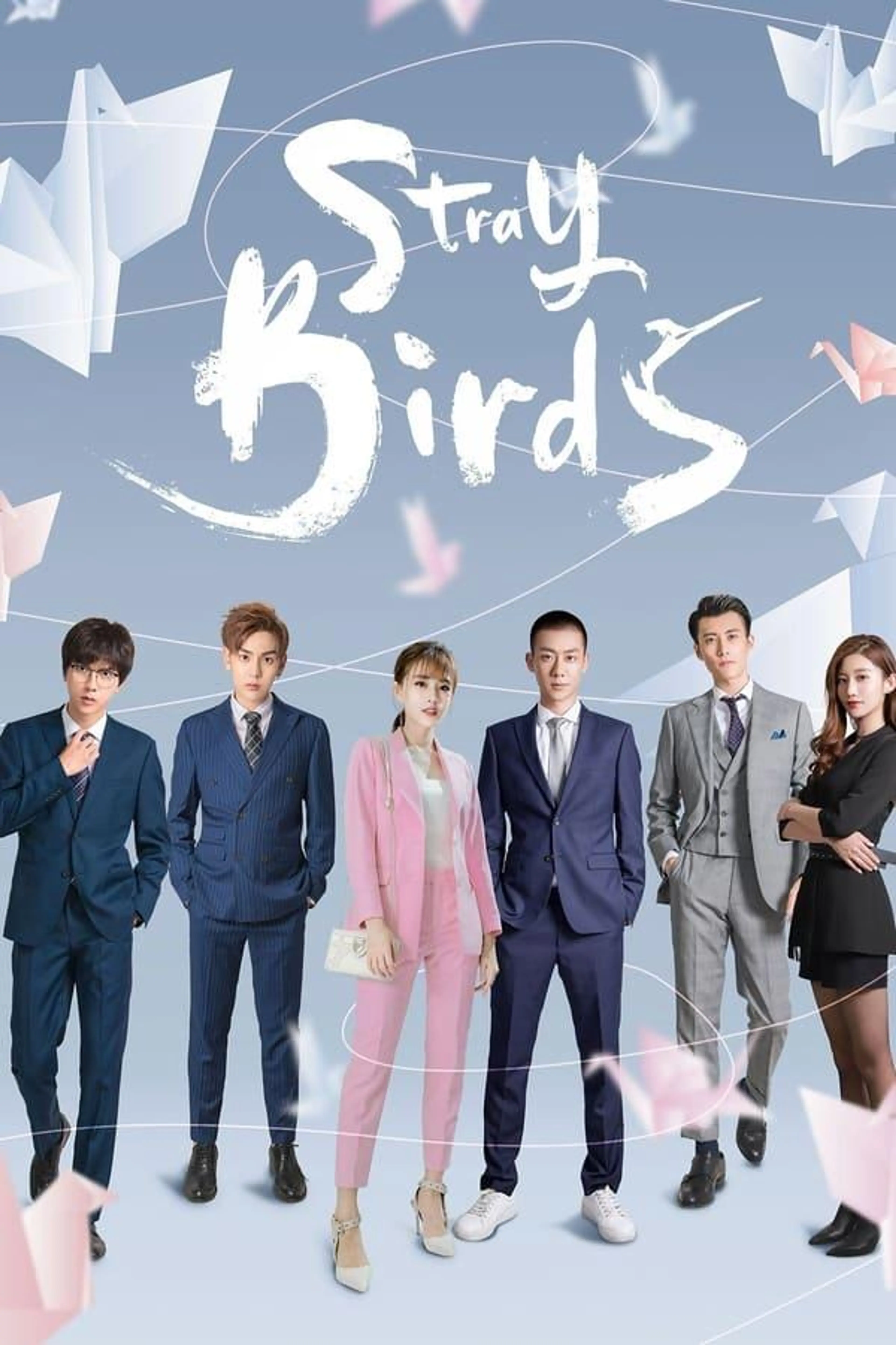 Stray Birds Season 1