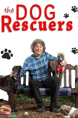 The Dog Rescuers with Alan Davies Season 2
