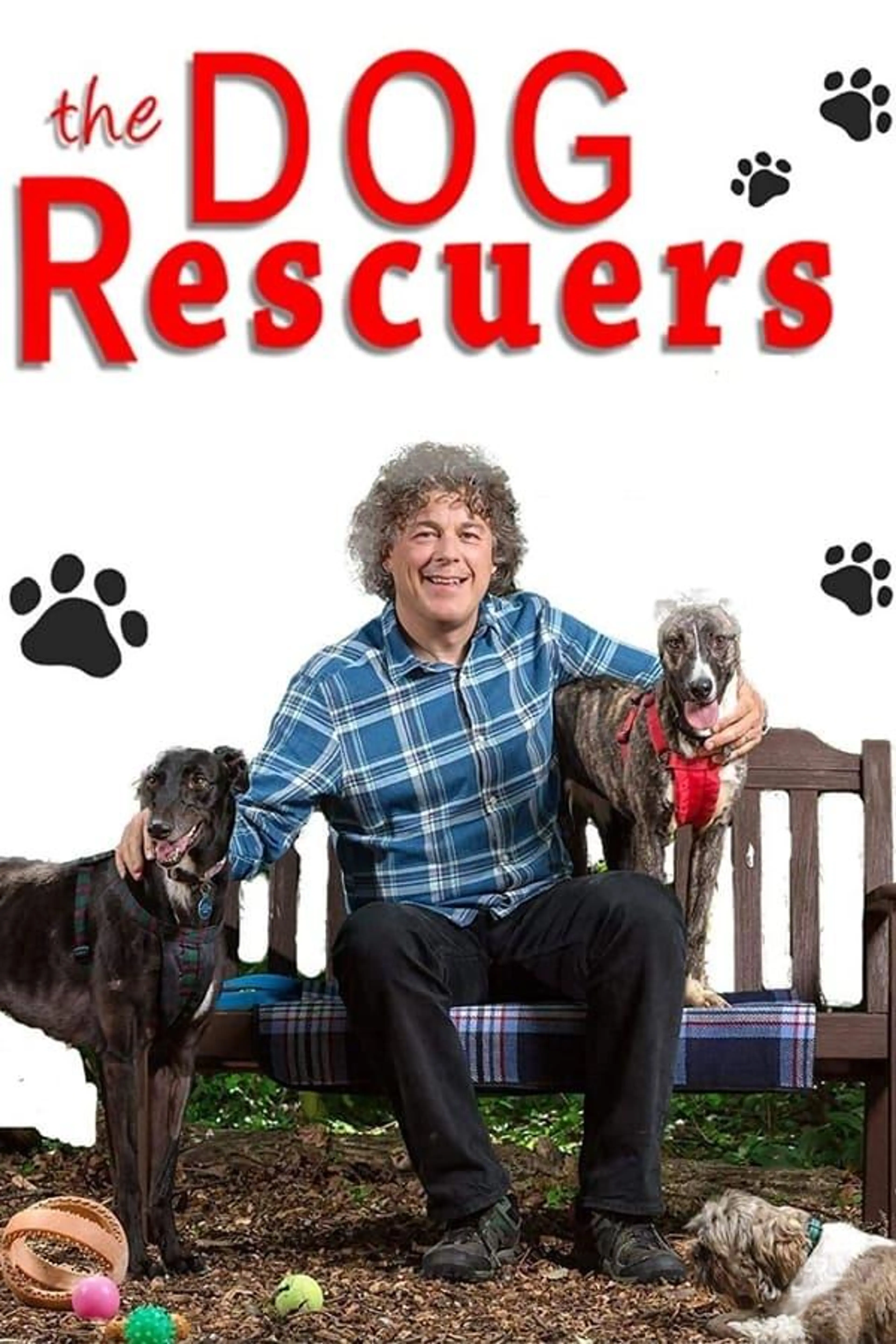 The Dog Rescuers with Alan Davies Season 2