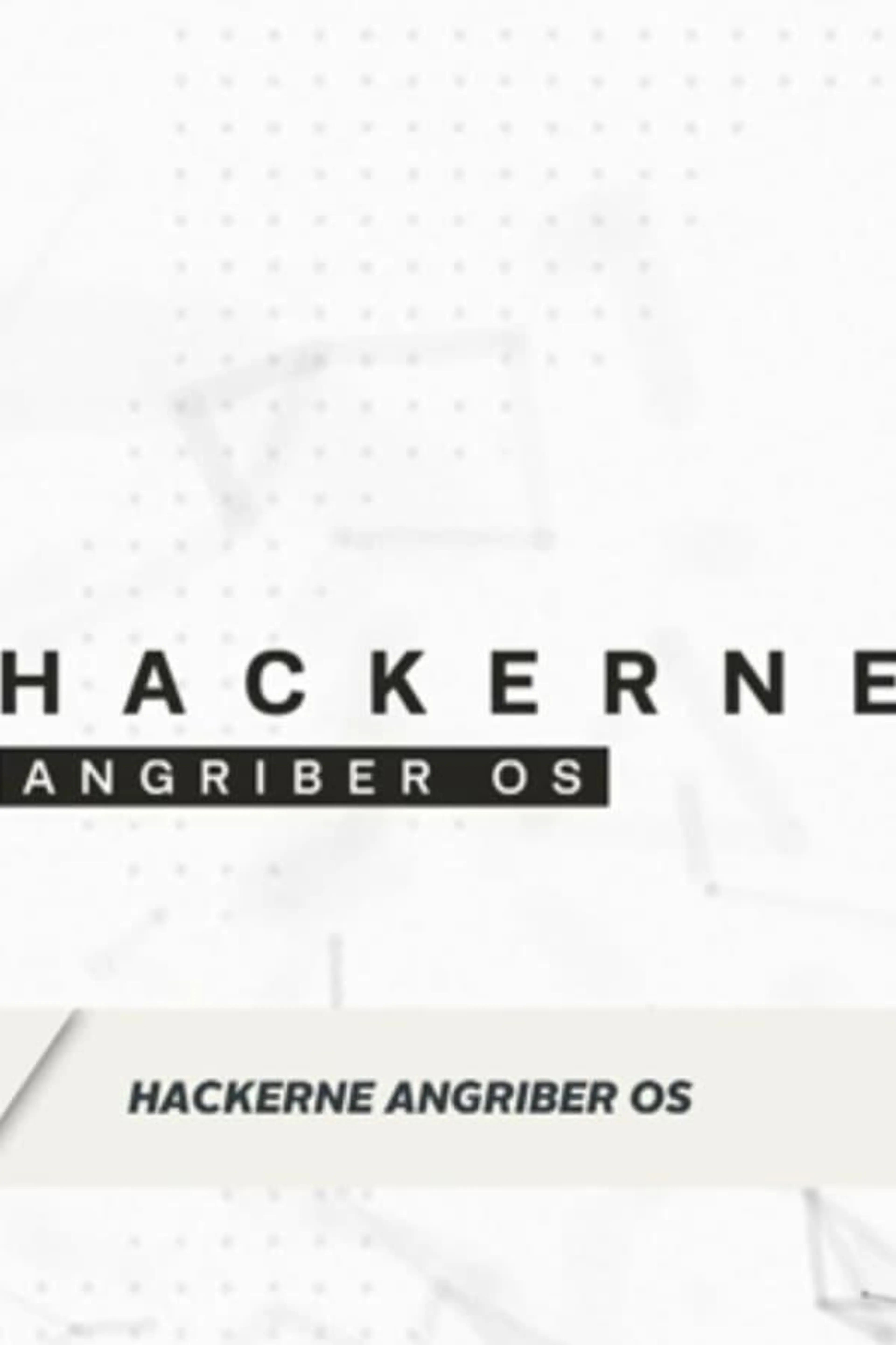 Hackerne angriber os
