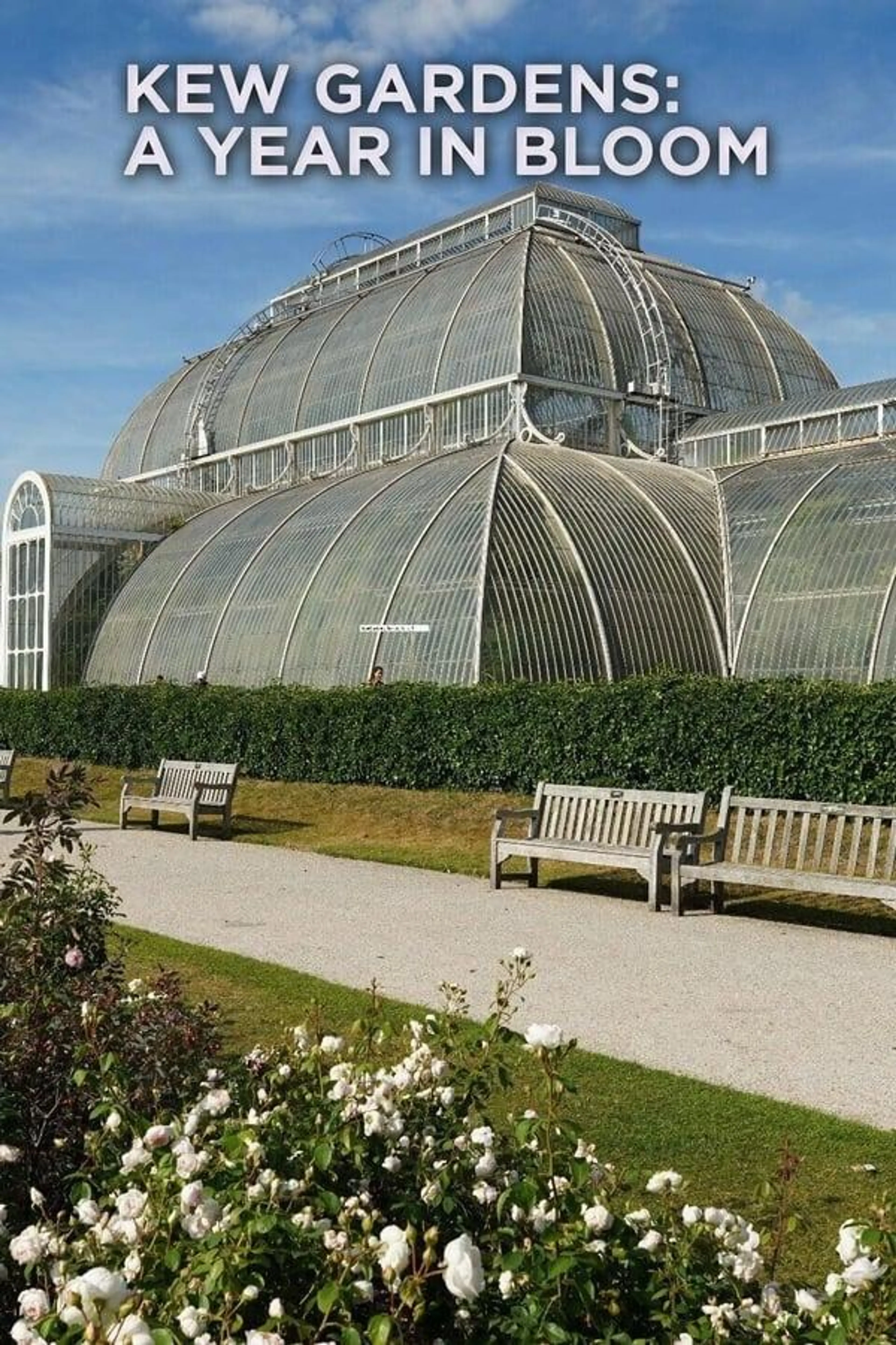 Kew Gardens: A Year in Bloom Season 2