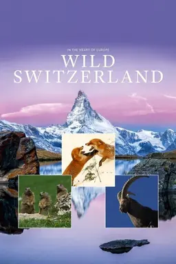 Wild Switzerland Season 1
