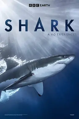 Shark: A 4D Experience
