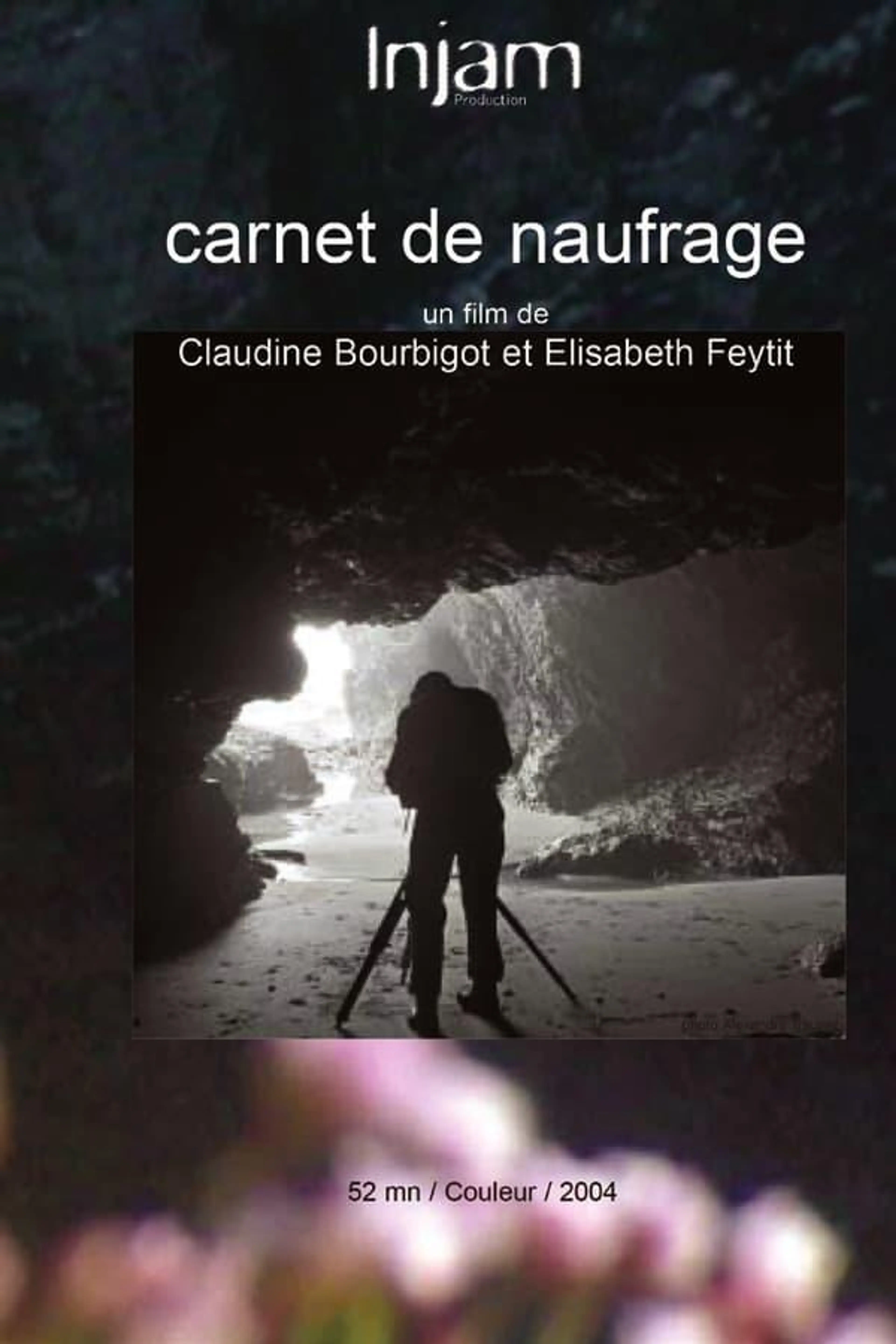 Carnet de naufrage