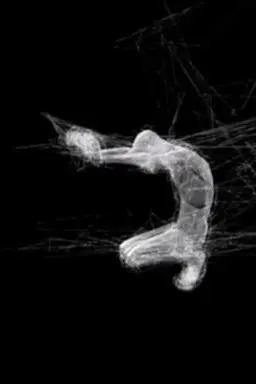 Chrysalide