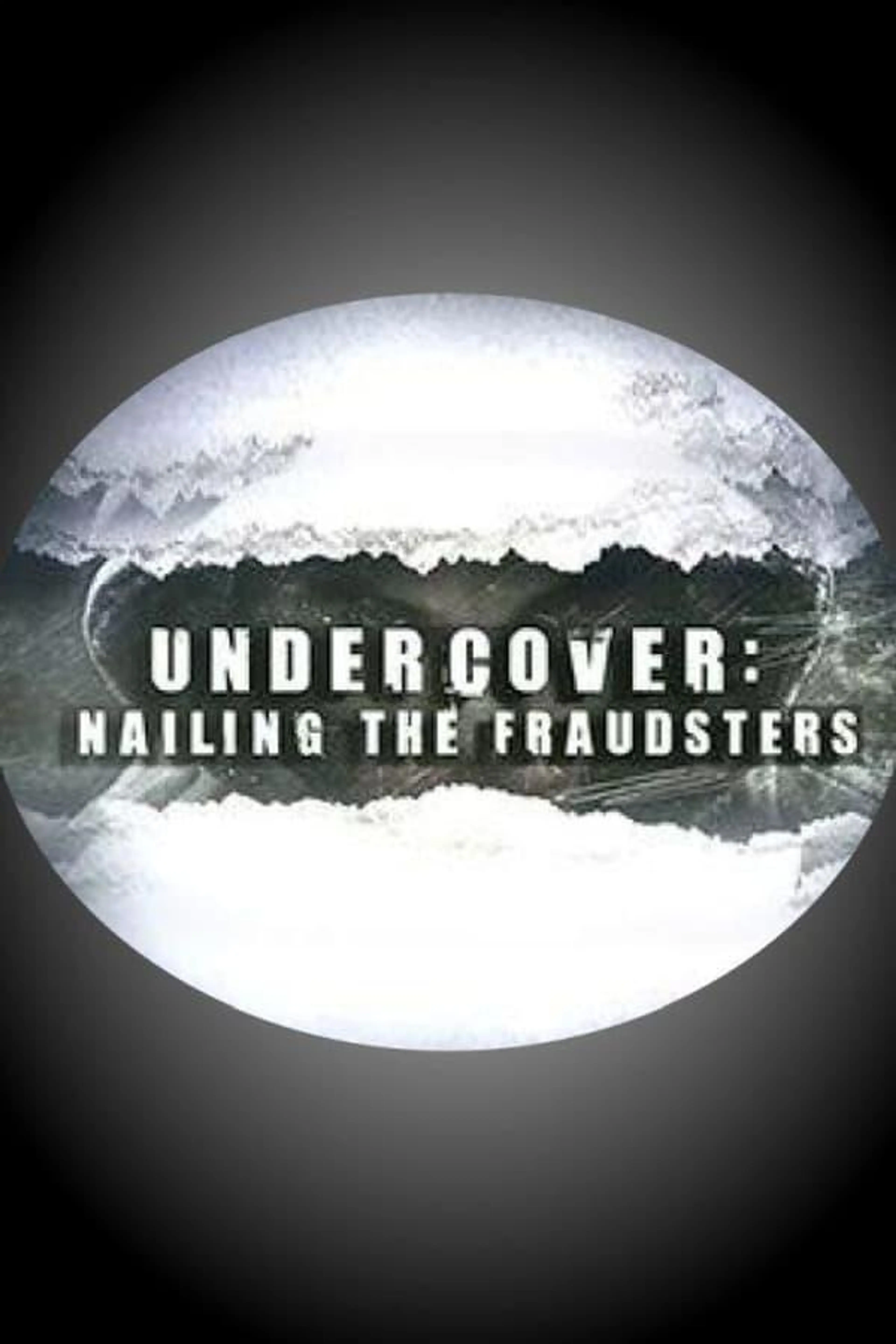 Undercover: Nailing the Fraudsters Season 2