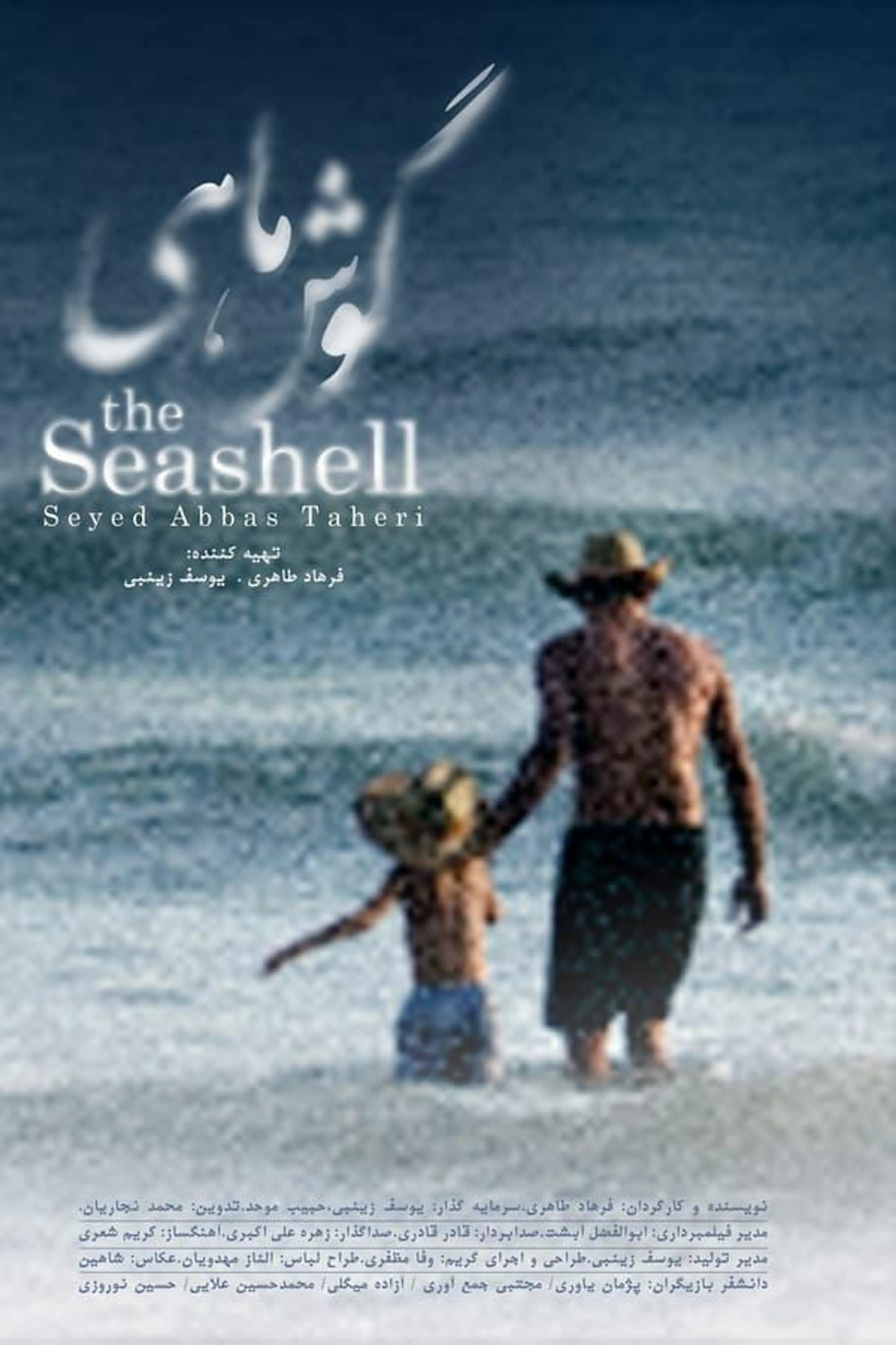 The Seashell