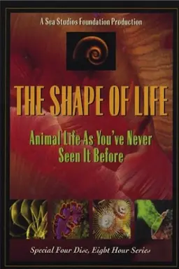 The Shape of Life Season 1