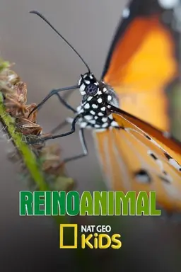 Reino Animal Season 1
