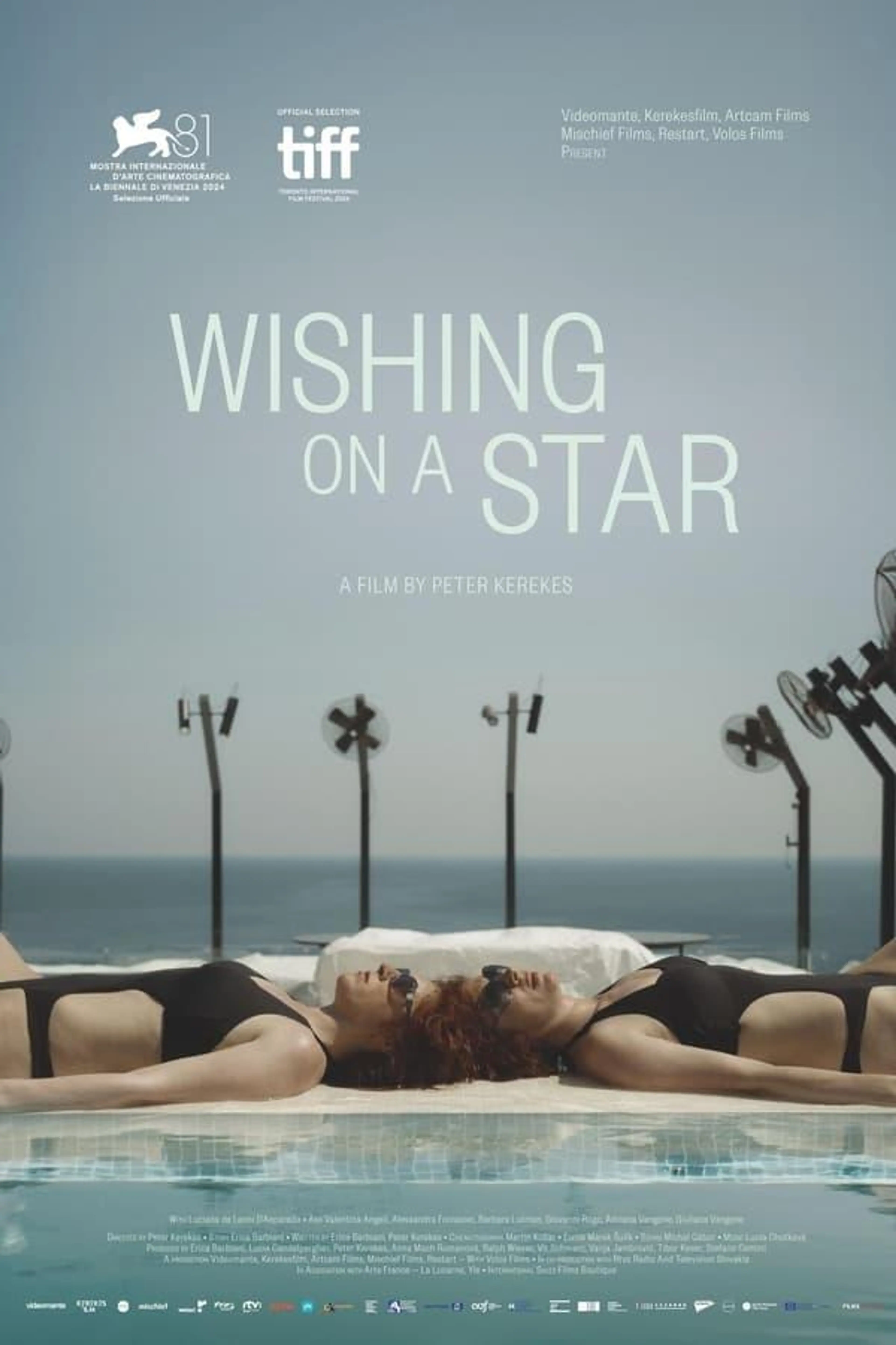 Wishing on a Star