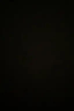 9531p485-7120387498