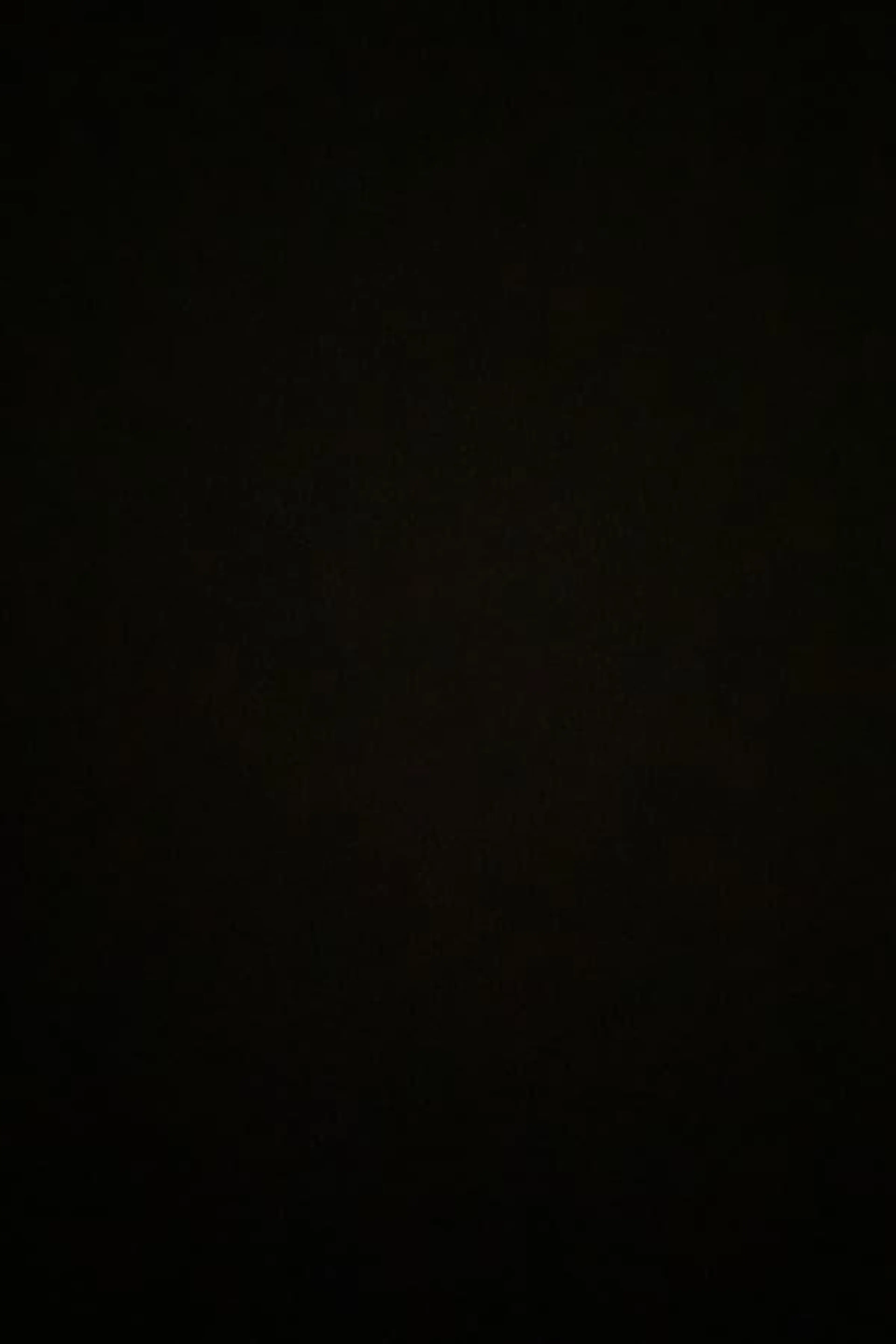 9531p485-7120387498
