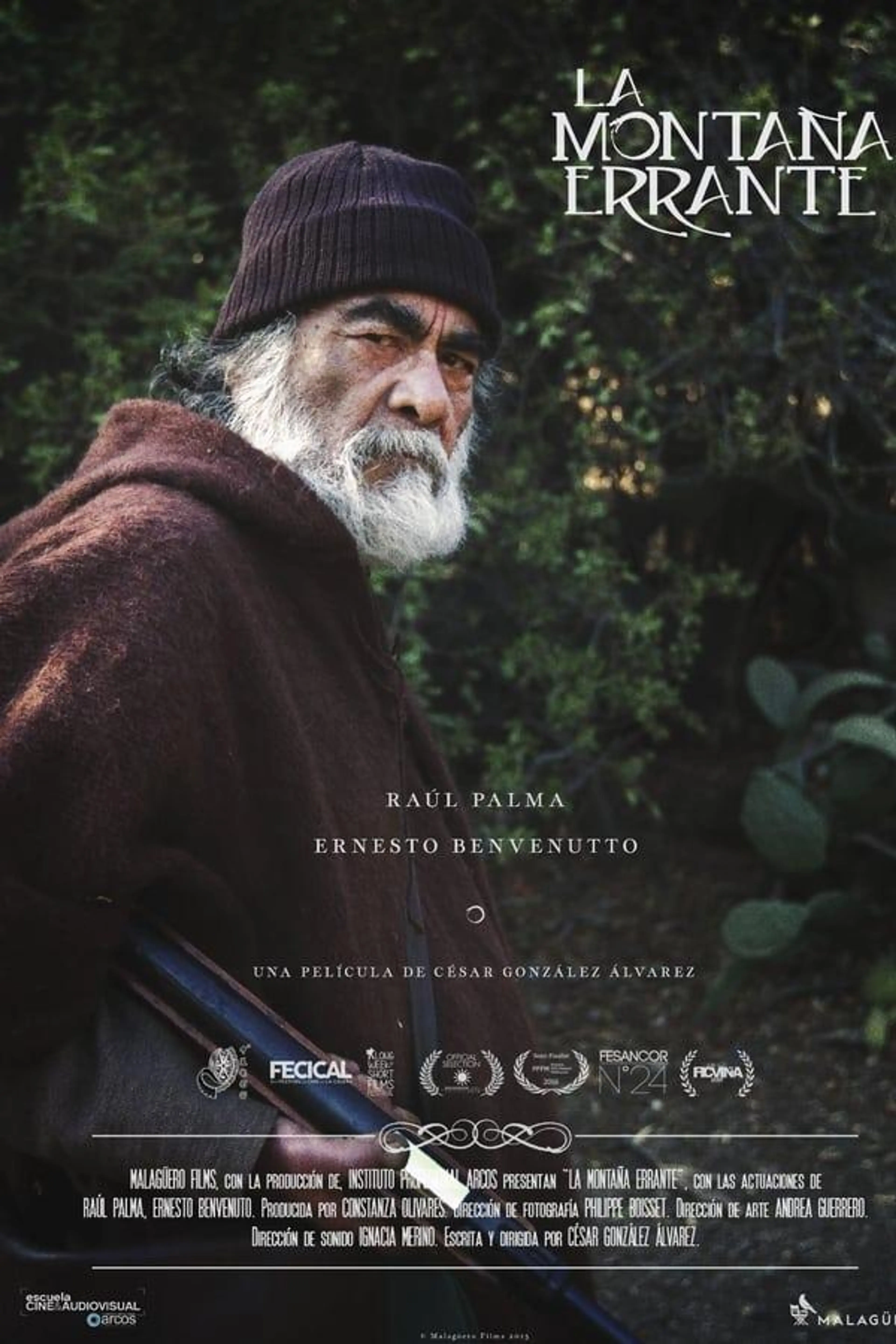 The Wandering Mountain