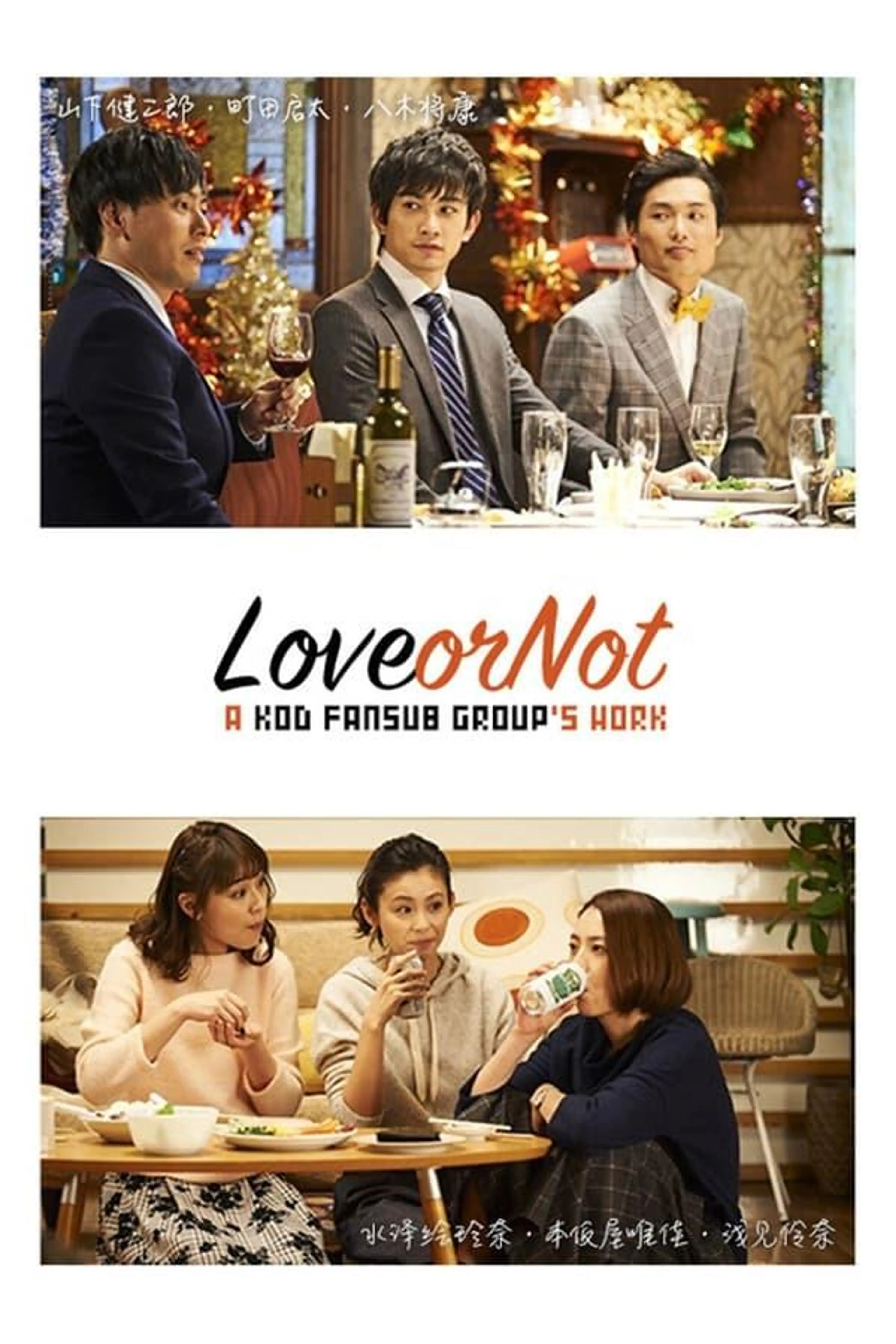 Love or Not Season 1