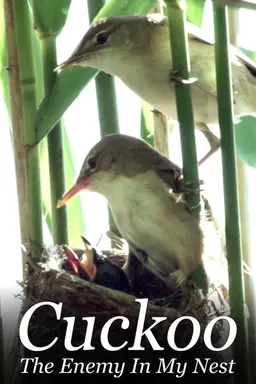 Cuckoo: The Enemy In My Nest