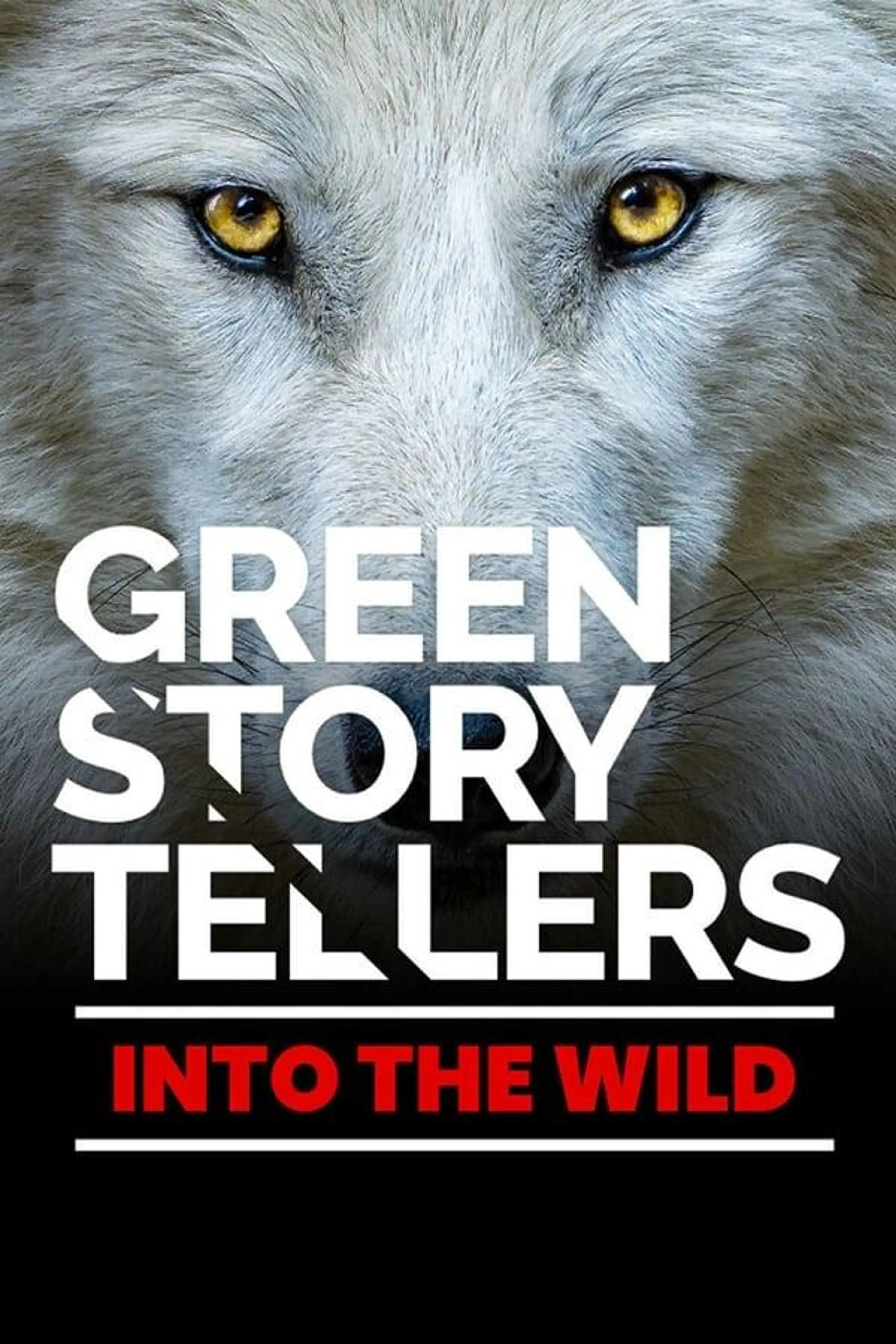 Green Storytellers Season 2