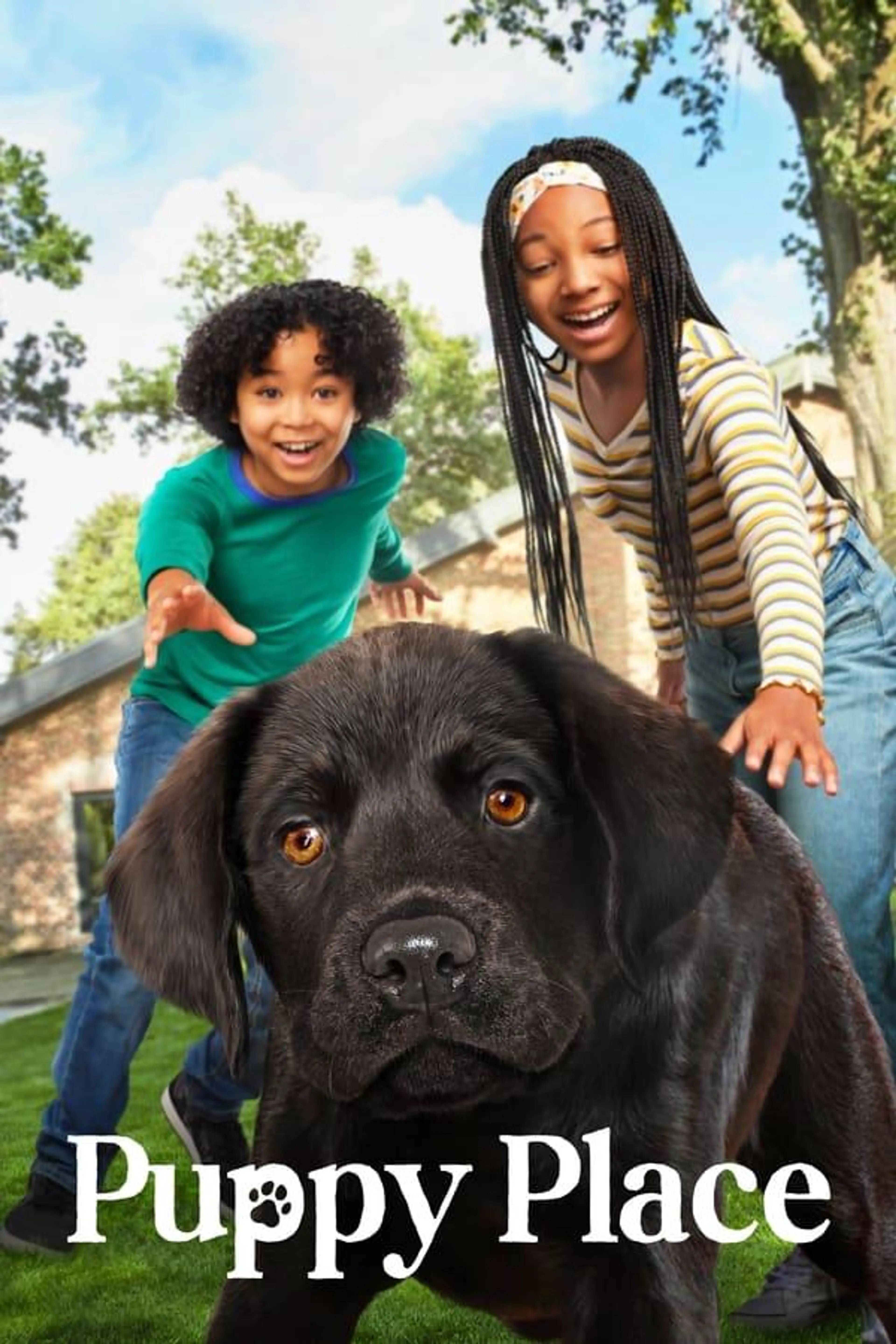 Puppy Place Season 2