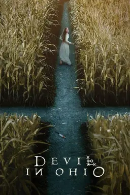 Devil in Ohio Limited Series