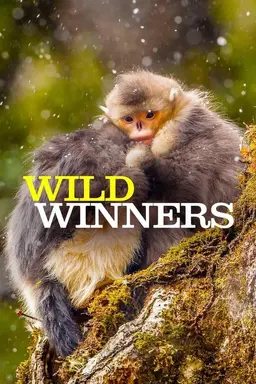 Wild Winners Season 1