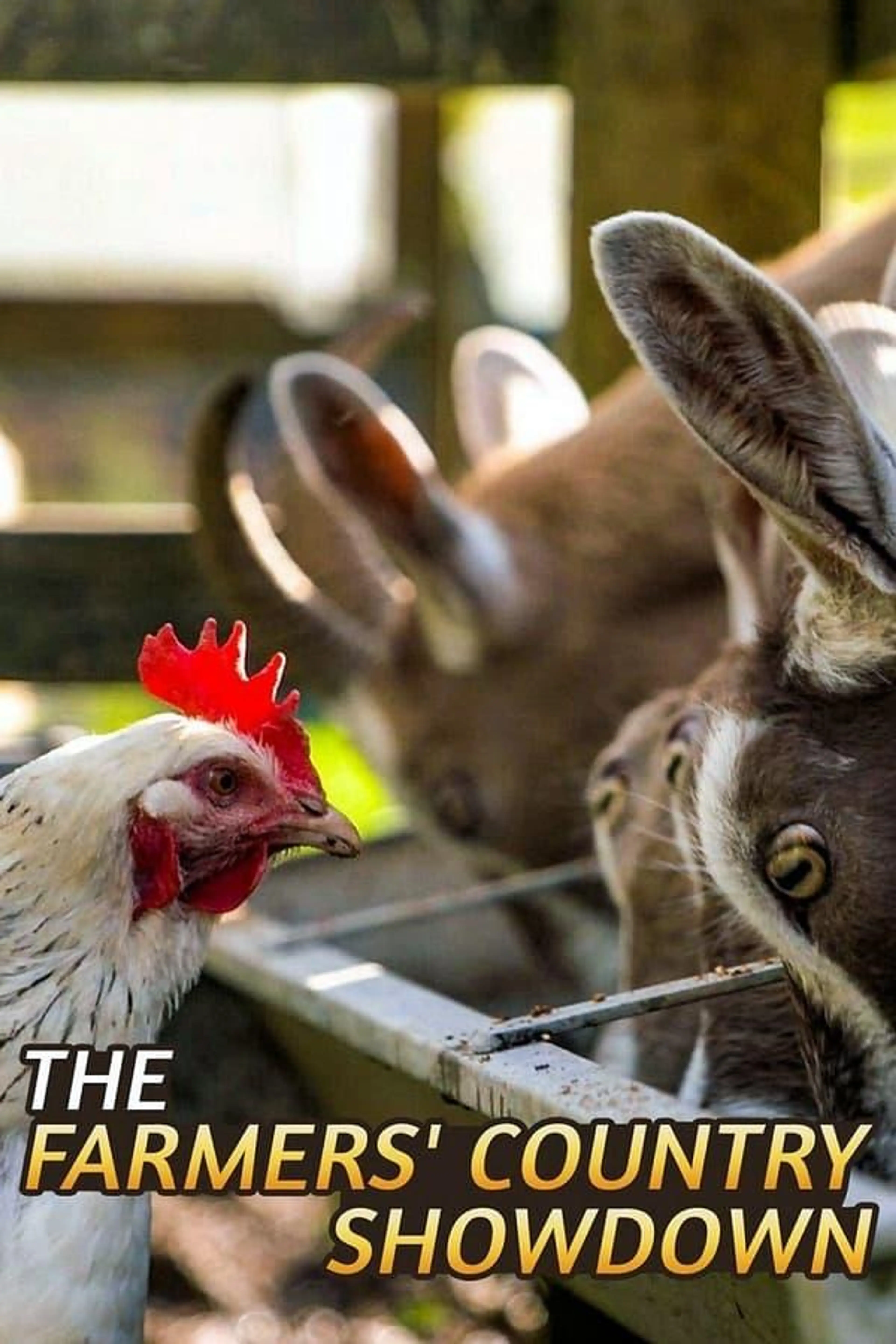 The Farmers' Country Showdown Series 5