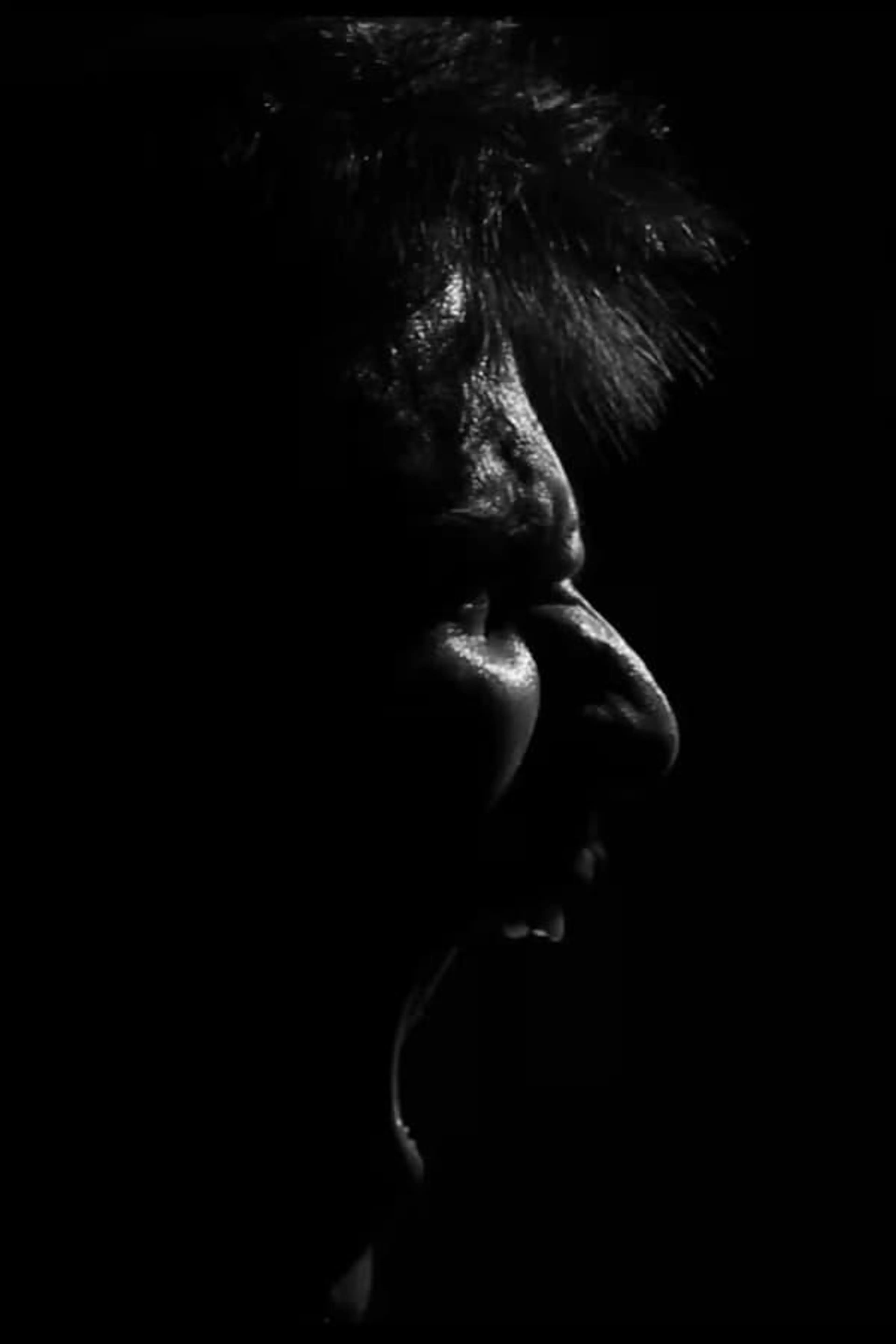 regression·repression