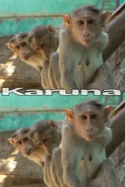Karuna