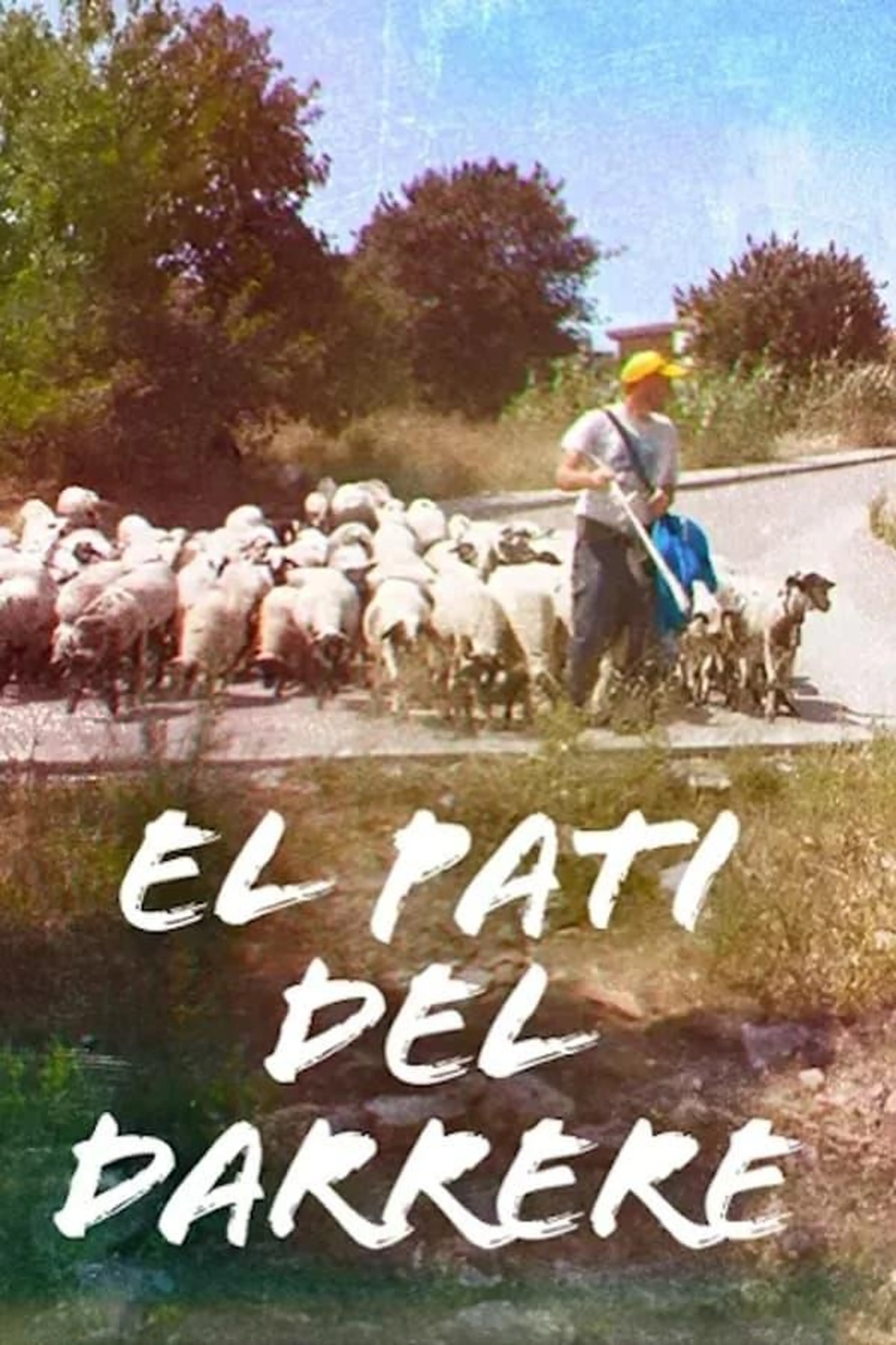 El pati del darrere