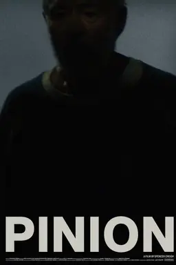 Pinion