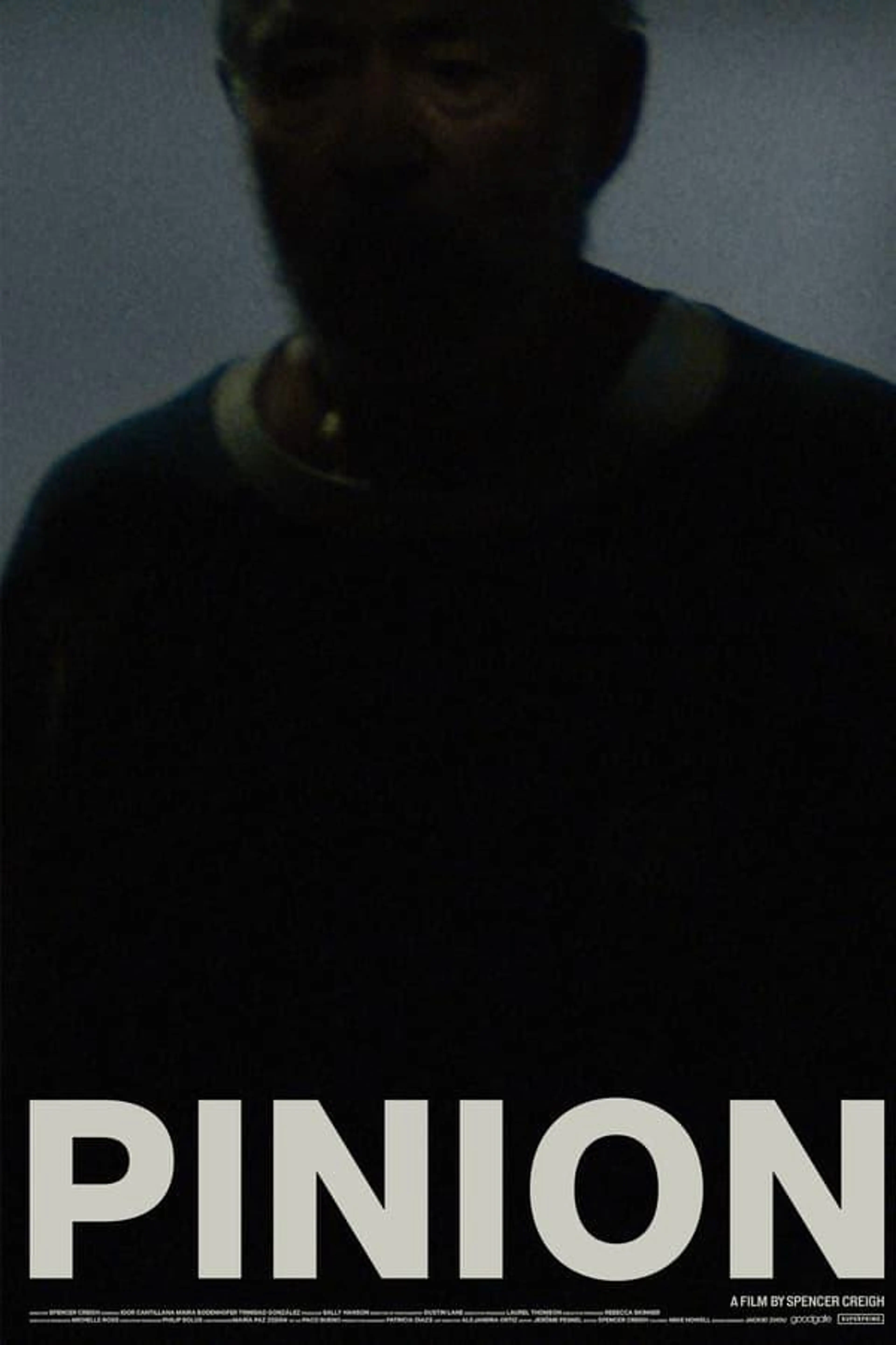 Pinion