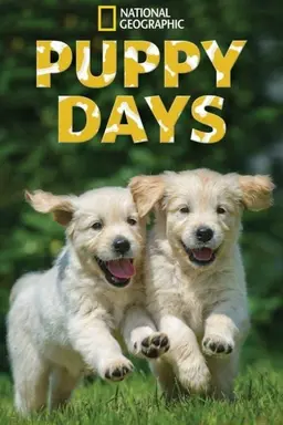 Puppy Days Season 1