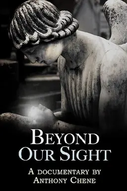 Beyond Our Sight