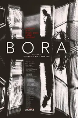 The Bora