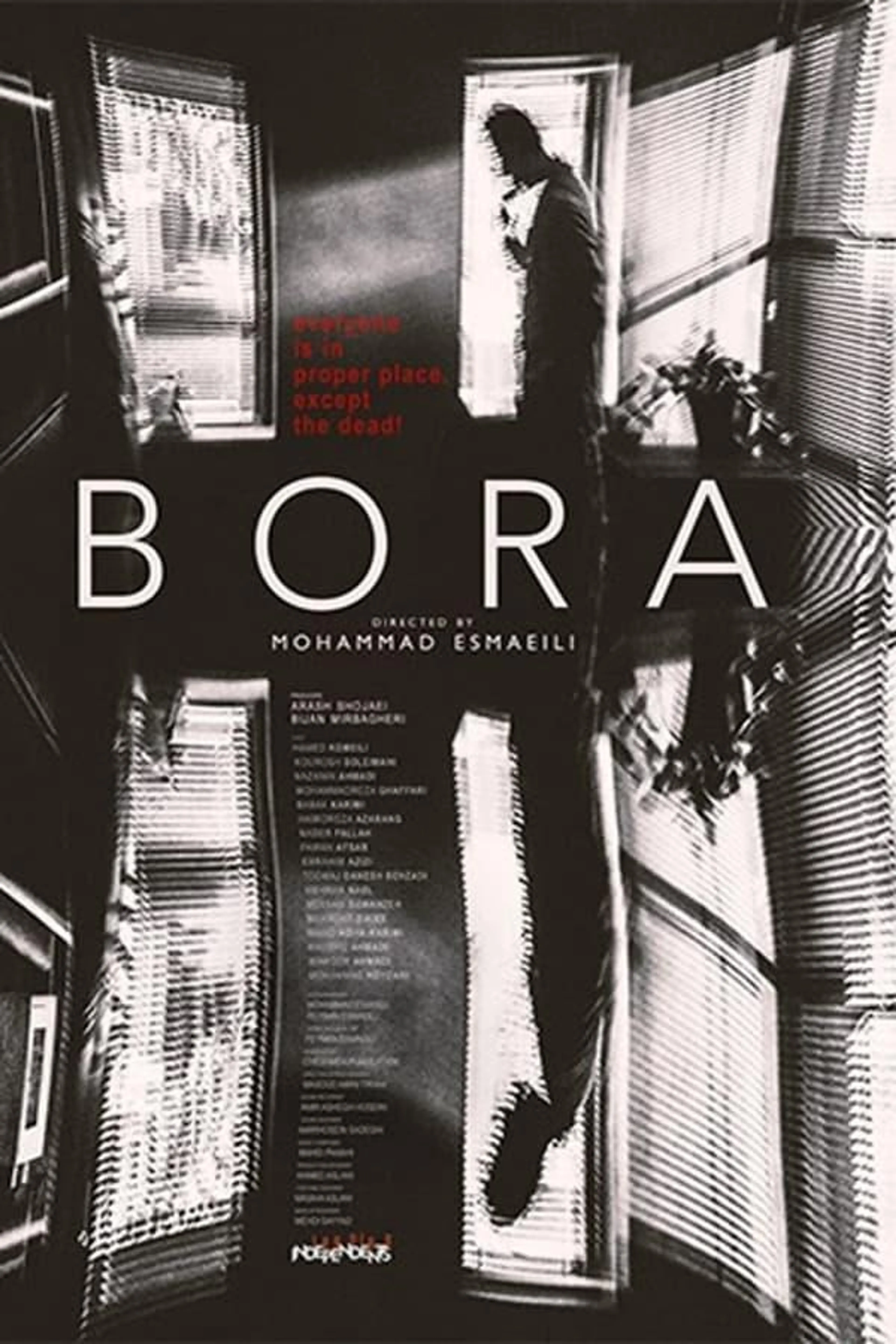 The Bora