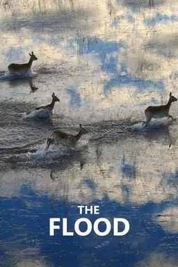 The Flood Season 1