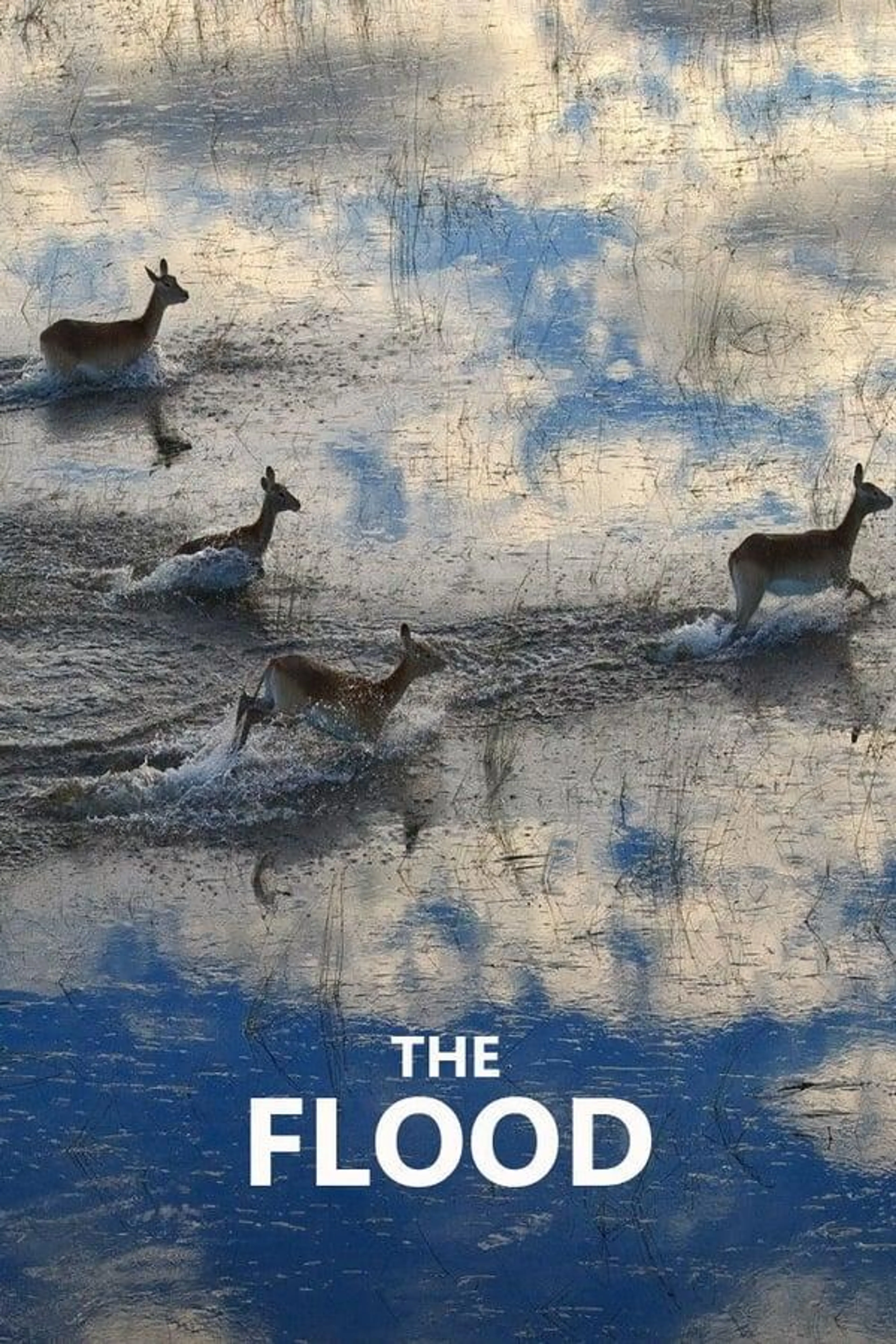 The Flood Season 1