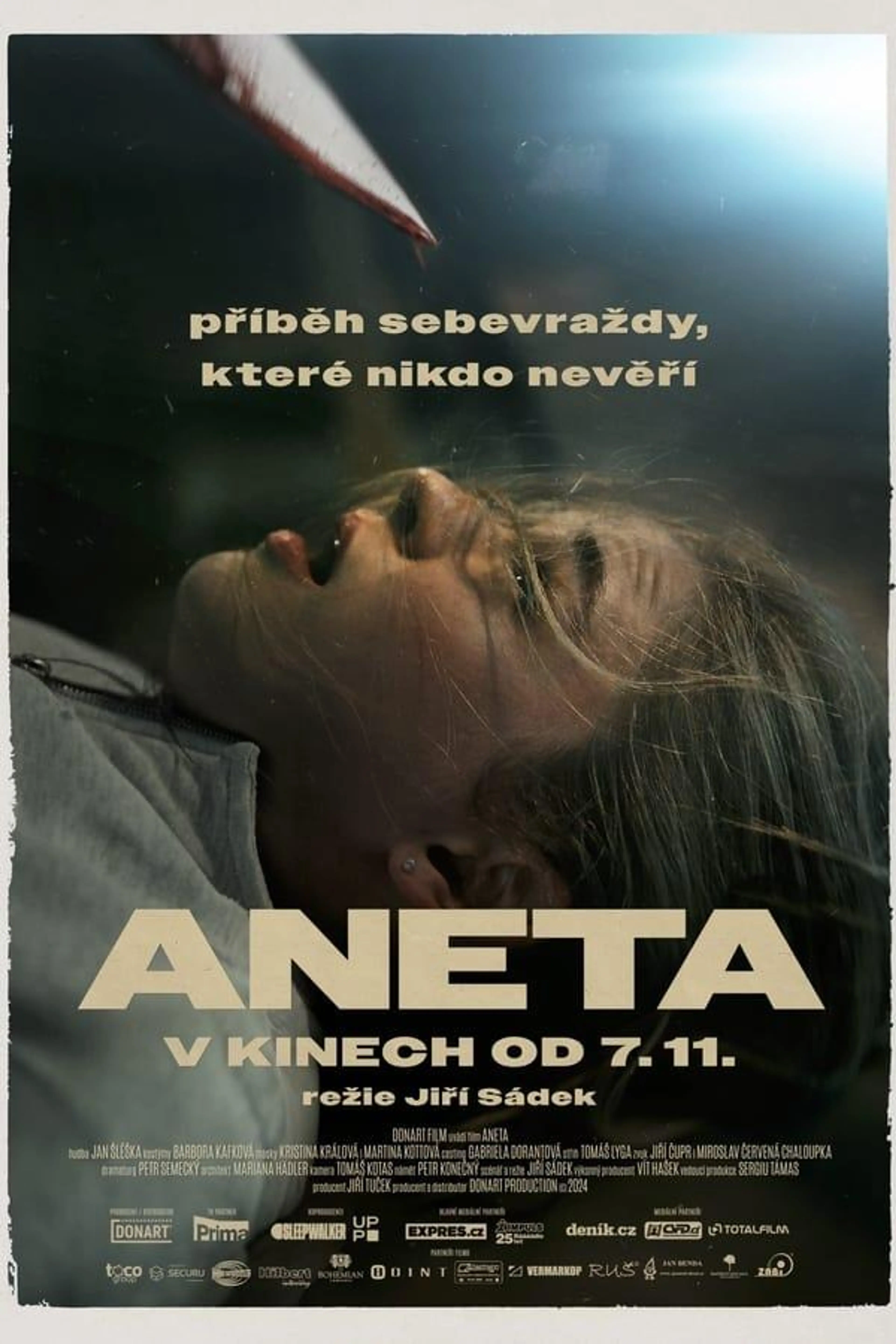 Aneta