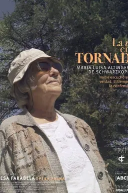 Life in a Tornado