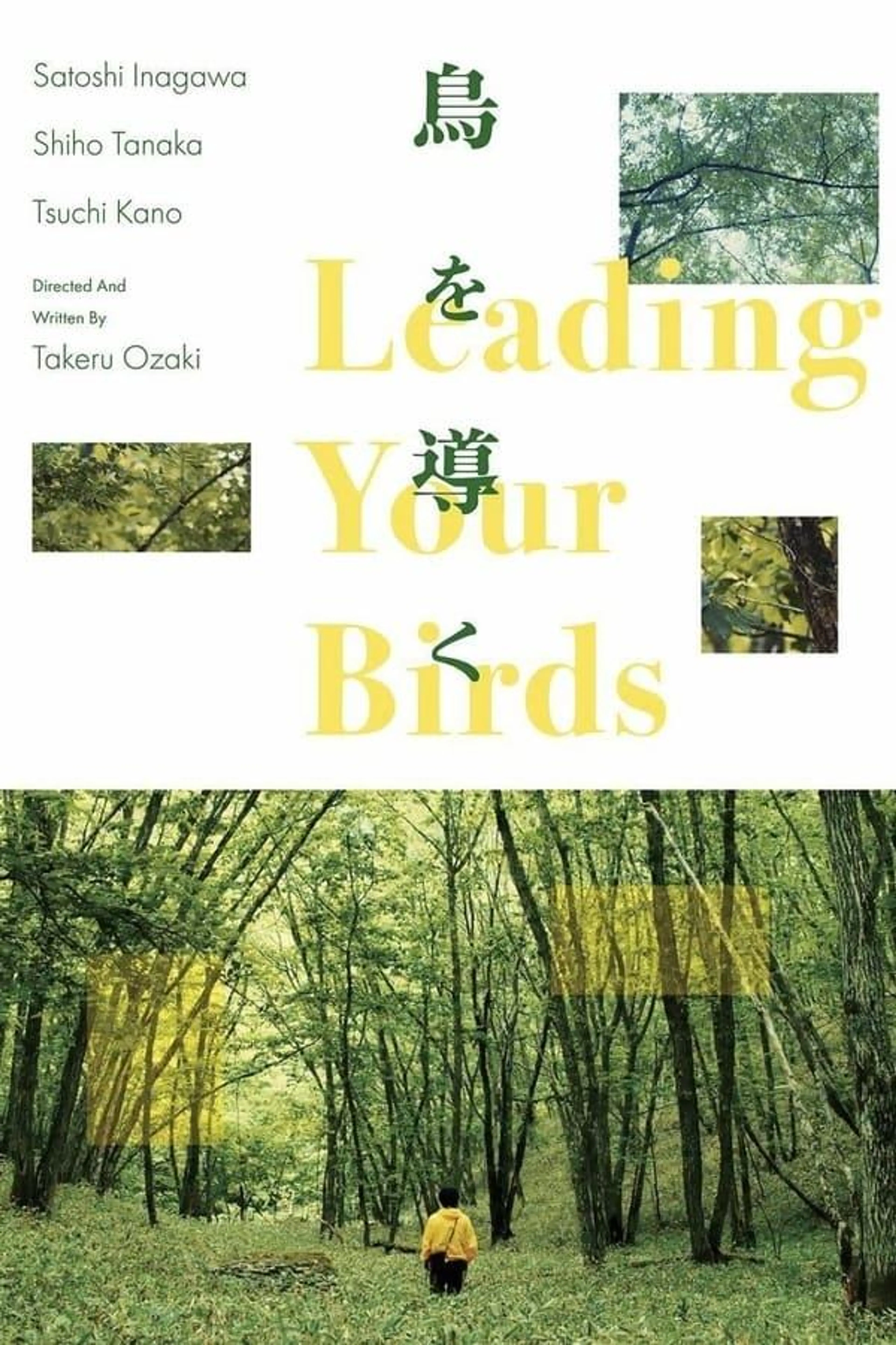 Leading Your Birds