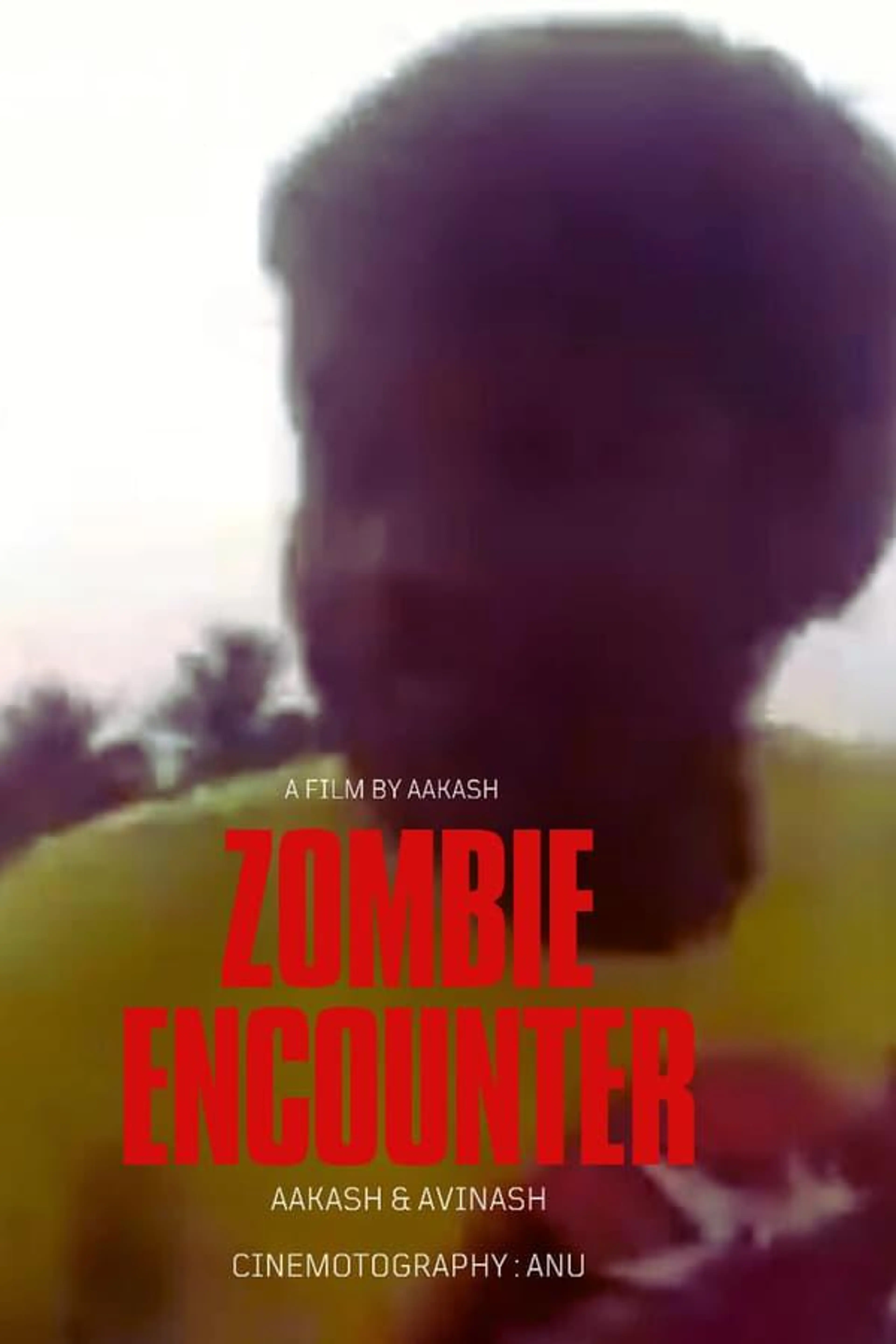Zombie Encounter