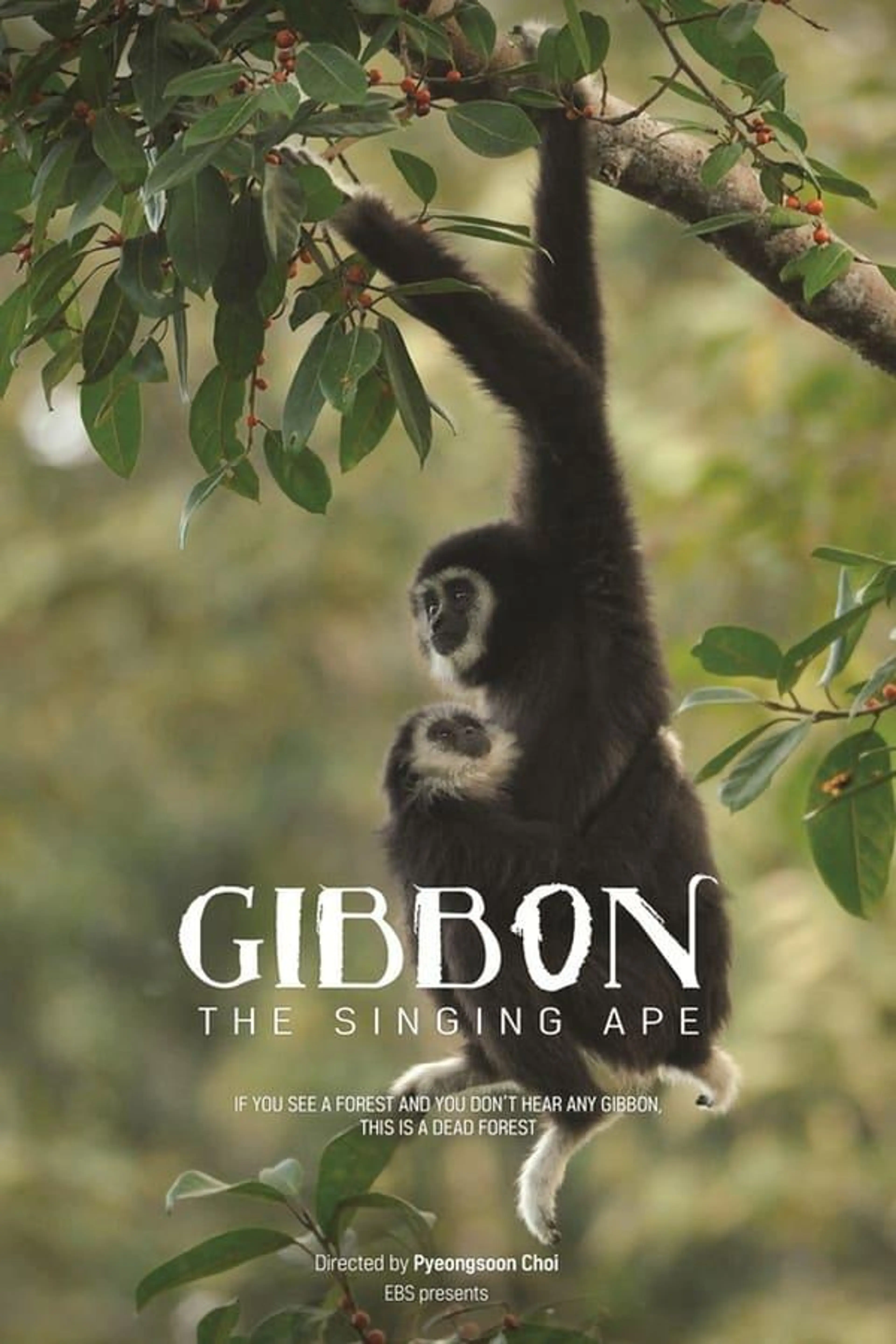 The Singing Ape, Gibbon