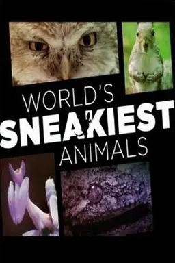 World's Sneakiest Animals Season 1